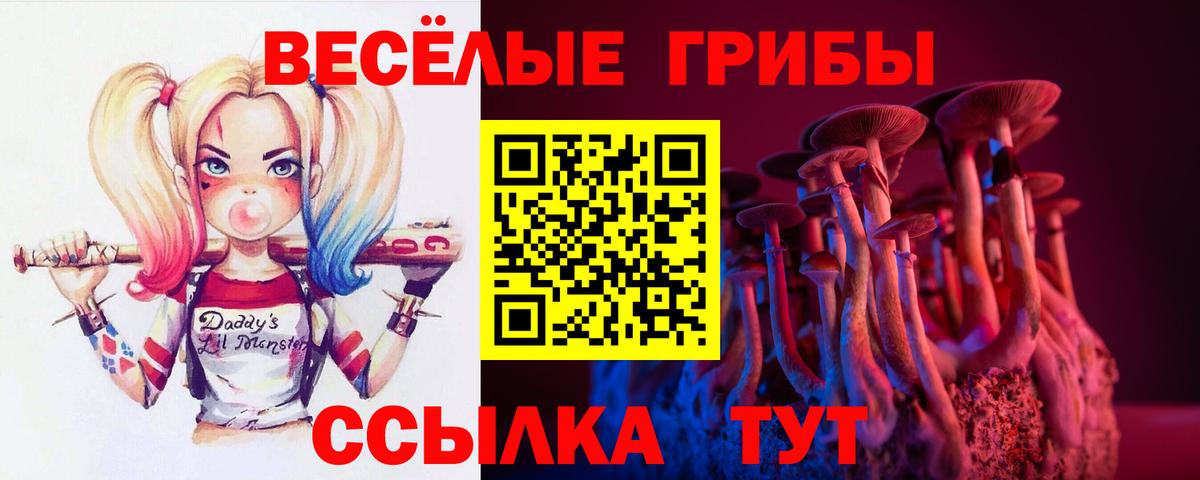 Галлюциногенные грибы GOLDEN TEACHER  Вход с VPN  Избербаш 