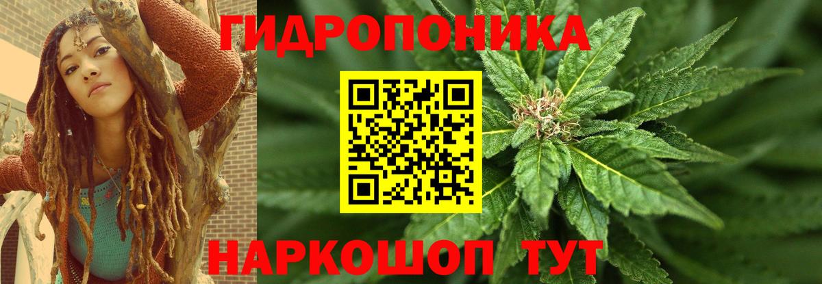 Конопля Ganja Избербаш